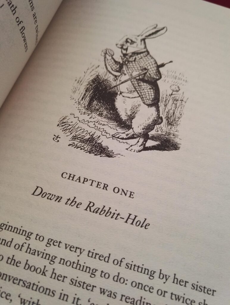 Down the Rabit-Hole